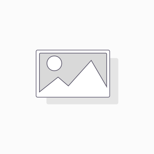 OLIO GIRASOLE ALTOLEICO LT 5