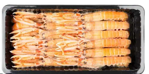 SCAMPI INT.21/30 700GR DAN.MARIUS