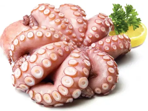 POLPO IQF 1000/2000 INFO.F. 15 KG