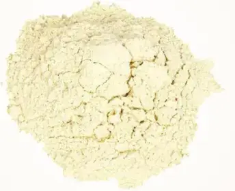 AGLIO IN POLVERE BORGHINI  GR 300