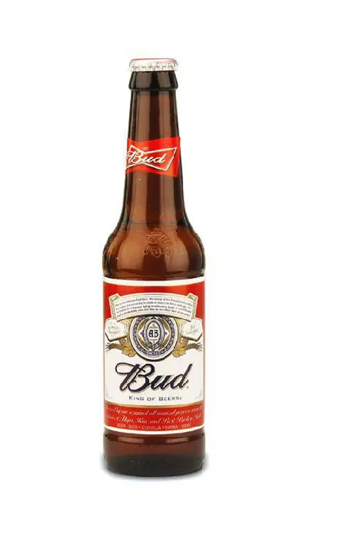 BIRRA BUD 0.33 X 24
