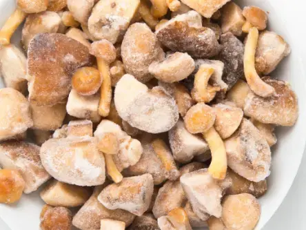 MISTO DI FUNGHI CON PORCINO 10% KG. 1