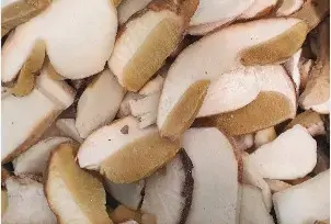 FUNGO PORCINO CONGELATO LAMINA PRIMA SCELTA KG. 1