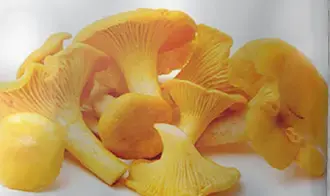 FUNGO GALLETTO (FINFERLI) CONGELATO KG. 1