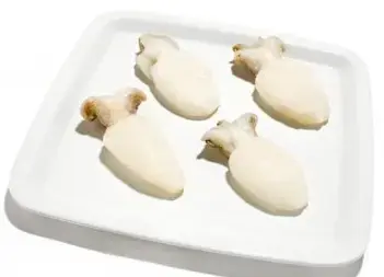 SEPPIE 500/1000 IQF CT 10 KG INDIA