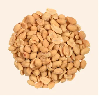 [606400] ARACHIDI SALATE KG.1