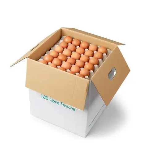 [6436] FORN. UOVA BIANCHE X 180 PGL GABBIA