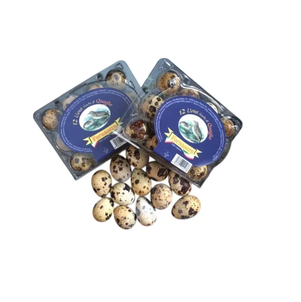 [8022] FORN. UOVA QUAGLIA X 12 PZ A CONF