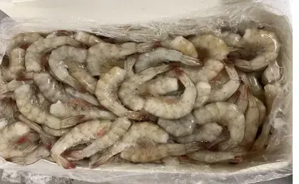 [AGRIFISH26] CODE MAZZANCLLA 51/60 6X2 KG C/GUS TROP