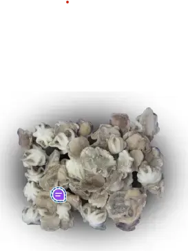 [CDAS00520] 00520 - POLPI MOSCARDINI 20/40/60 KG 1 SG.