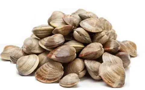 [SKYMARE65700] 0556 - VONGOLE DEL PACIFICO SG. 700/1000 4 X 1