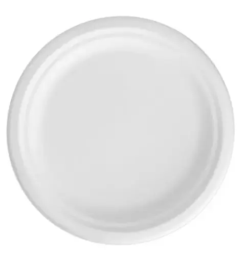 [X004900546] PIATTI PIANI BIO-ECO DM 22  PZ 50 YDP006